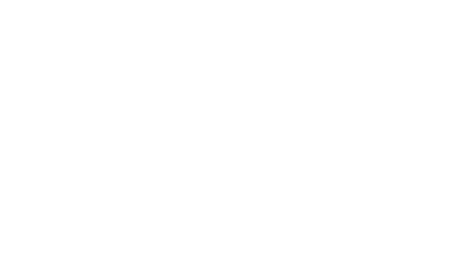 Silverfort logo